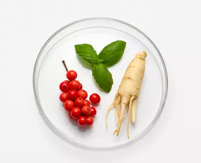 A glass dish containing three items: a cluster of bright red berries, a green basil leaf, and a pale ginseng root with small, protruding roots. The background is white.