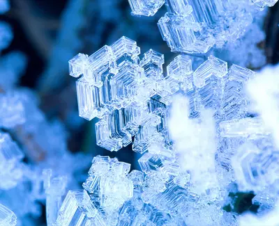 Close-up of intricate ice crystals with a blue hue, showcasing unique geometric shapes and delicate formations.
