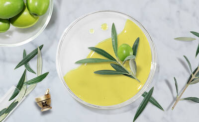 A clear dish holds a vibrant yellow-green mixture, garnished with an olive and olive leaves. Surrounding the dish are fresh olives, olive branches, and a small mortar and pestle. The background features a light marble texture.