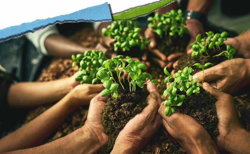 Forskellige haender holder små planter i jorden, hvilket symboliserer samarbejde i samfundet og naerende vaekst.