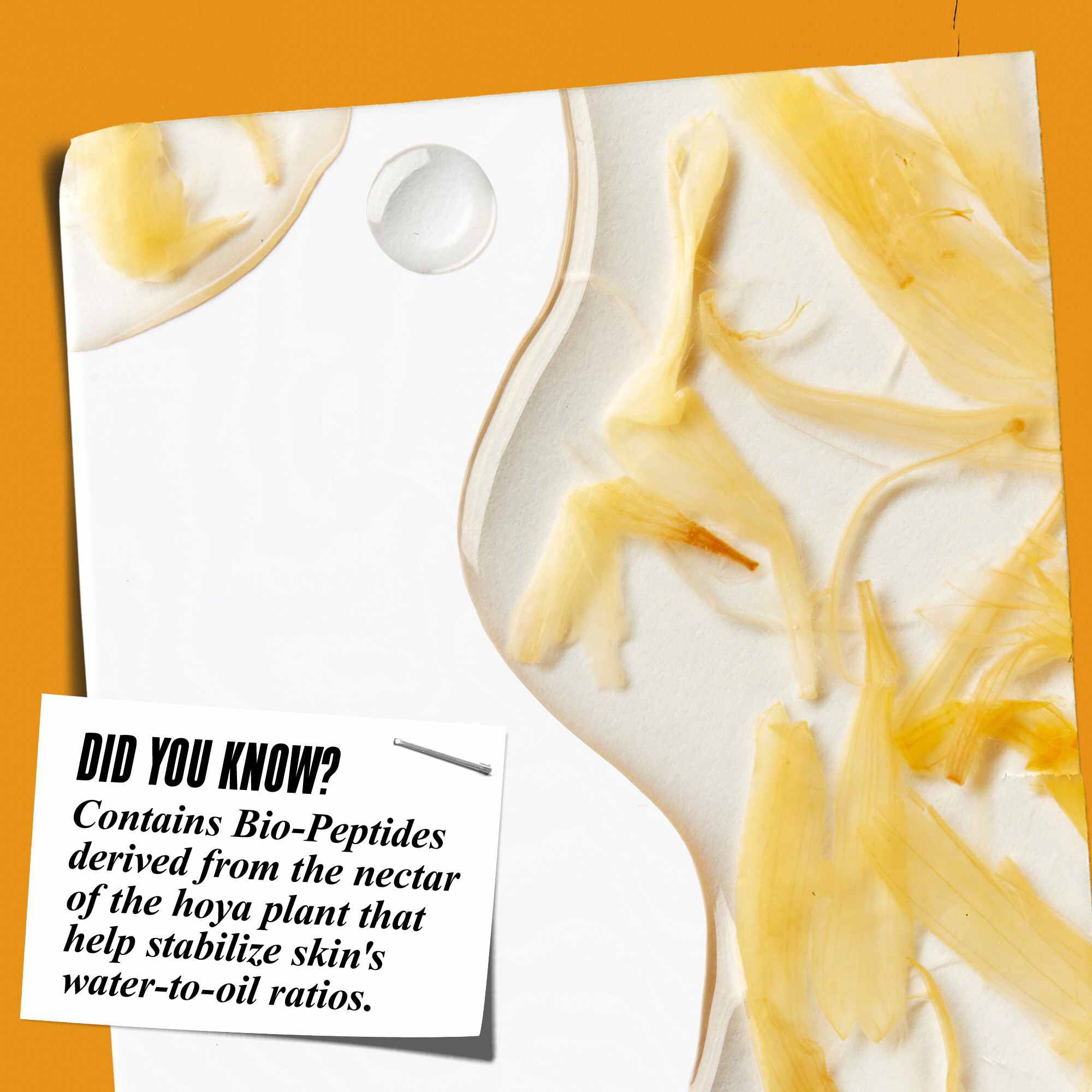 Taetbillede af Calendula Herbal-Extract Toner-konsistens med morgenfrueblade og teksten "Vidste du det? Indeholder bio-peptider afledt af nektaren fra hoya-planten, der hjaelper med at stabilisere hudens vand-til-olie-forhold."