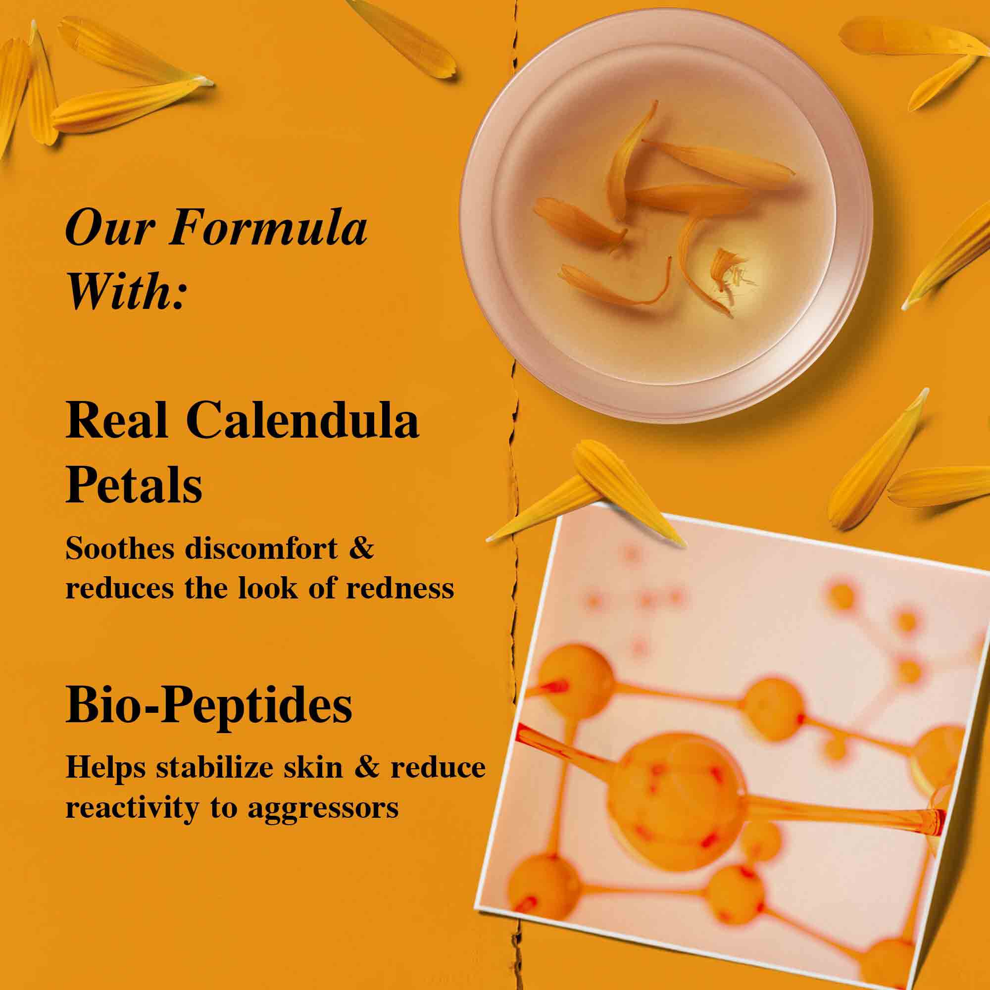 Morgenfrue kronblade.