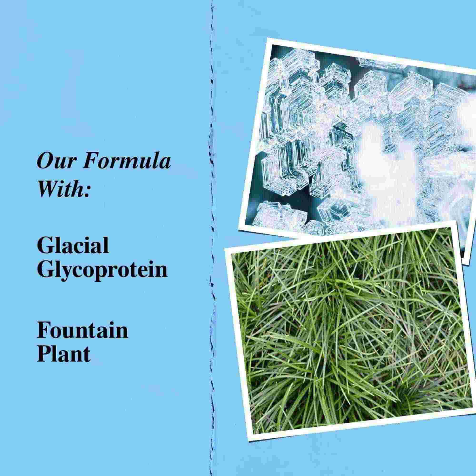Grafik over nøgleingredienser: glacialt glykoprotein og slangskaeg (fountain plant).