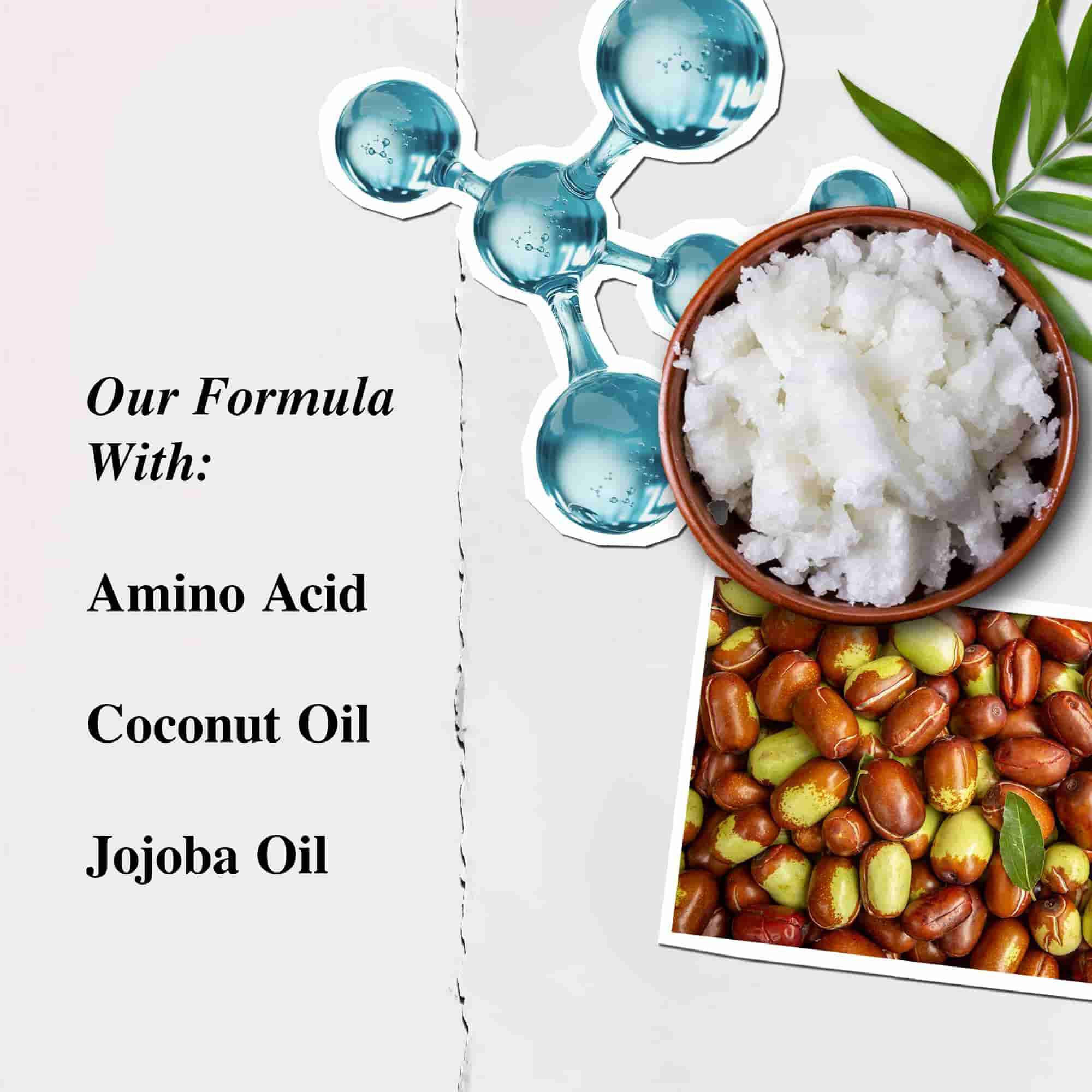 Kiehl's Aminosyrebalsam ingrediensillustration - Aminosyre, kokosolie, jojobaolie